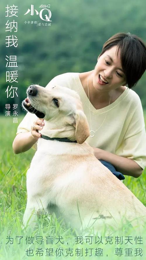 室内装饰企业施工证书怎么办